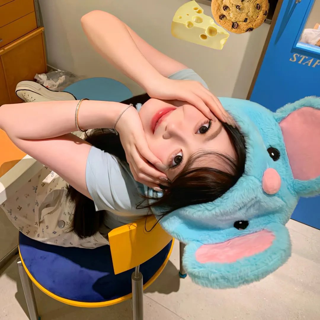 动物频道